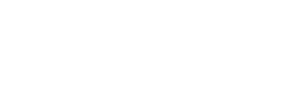 Toro Marketing logo in white